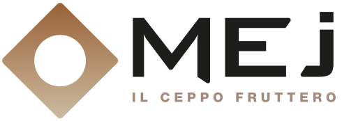 logo mej